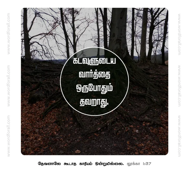 கடவுளுடைய வார்த்தை ஒருபோதும் தவறாது