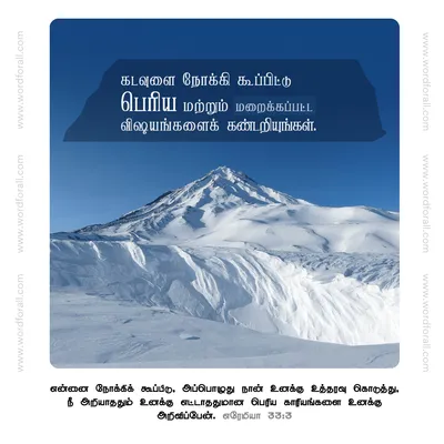 கடவுளை நோக்கி கூப்பிட்டு பெரிய மற்றும் மறைக்கப்பட்ட விஷயங்களைக் கண்டறியுங்கள்