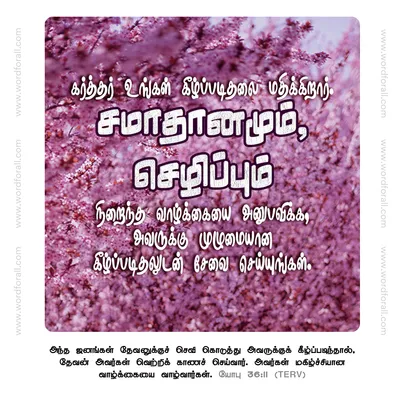 கர்த்தர் உங்கள் கீழ்ப்படிதலை மதிக்கிறார். சமாதானமும், செழிப்பும் நிறைந்த வாழ்க்கையை அனுபவிக்க, அவருக்கு முழுமையான கீழ்ப்படிதலுடன் சேவை செய்யுங்கள்.