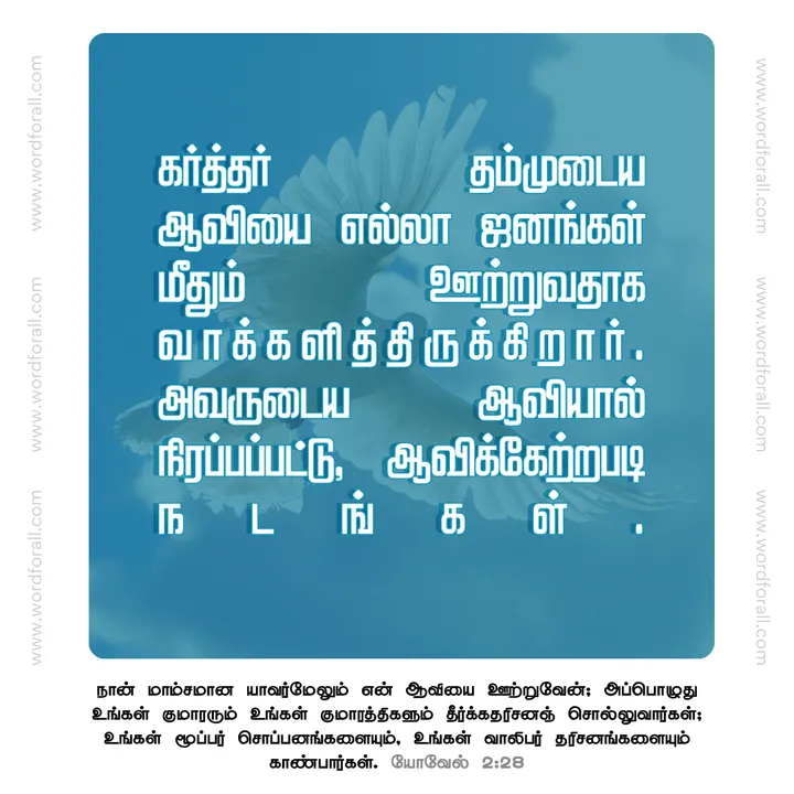 கர்த்தர் தம்முடைய ஆவியை எல்லா ஜனங்கள் மீதும் ஊற்றுவதாக வாக்களித்திருக்கிறார். அவருடைய ஆவியால் நிரப்பப்பட்டு, ஆவிக்கேற்றபடி நடங்கள்.