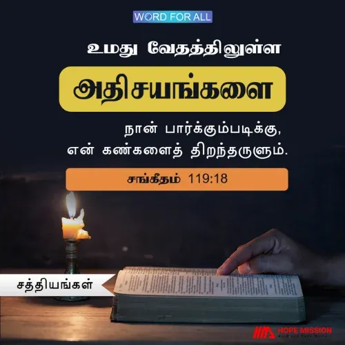 கர்த்தருடைய வேதத்திலுள்ள அதிசயமான சத்தியங்களைத் தேடிப் பாருங்கள்.