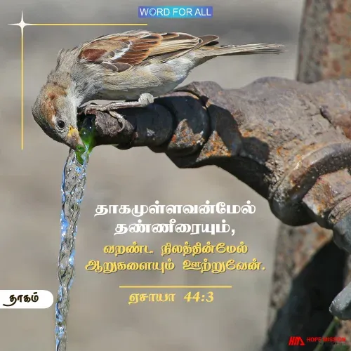 தேவன் உங்கள் தாகத்தைத் தீர்த்திடுவார்.