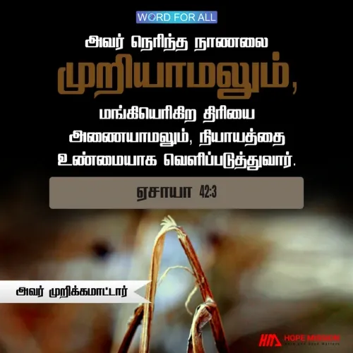 தேவன் நெரிந்த நாணலை முறிக்கமாட்டார்; மங்கியெரியும் திரியை அணைக்க மாட்டார்.