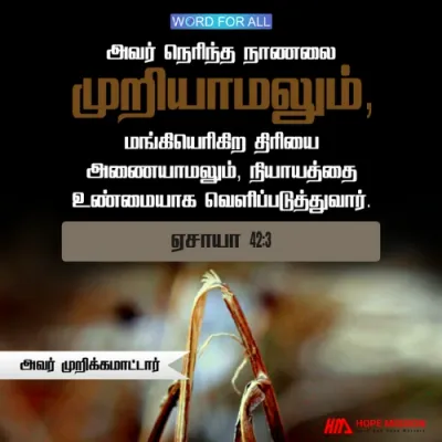 தேவன் நெரிந்த நாணலை முறிக்கமாட்டார்; மங்கியெரியும் திரியை அணைக்க மாட்டார்.