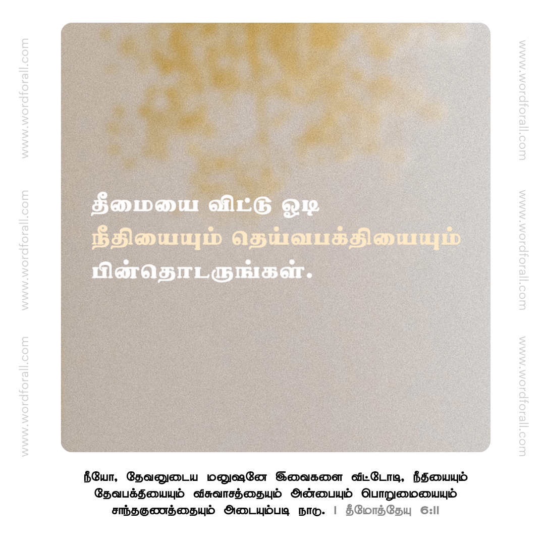 தீமையை விட்டு ஓடி நீதியையும் தெய்வபக்தியையும் பின்தொடருங்கள்