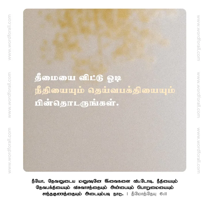 தீமையை விட்டு ஓடி நீதியையும் தெய்வபக்தியையும் பின்தொடருங்கள்