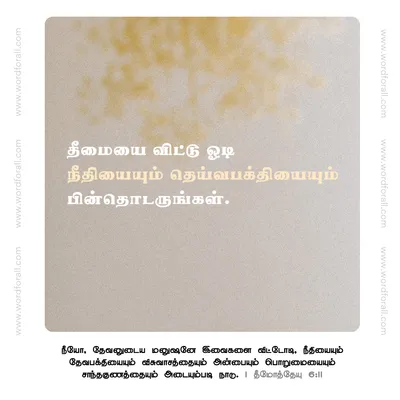 தீமையை விட்டு ஓடி நீதியையும் தெய்வபக்தியையும் பின்தொடருங்கள்