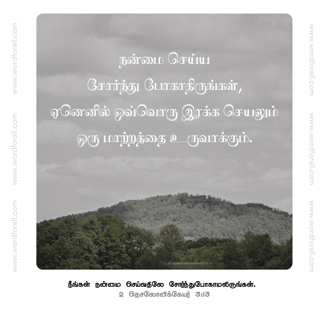 நன்மை செய்ய சோர்ந்து போகாதிருங்கள், ஏனெனில் ஒவ்வொரு இரக்க செயலும் ஒரு மாற்றத்தை உருவாக்கும்