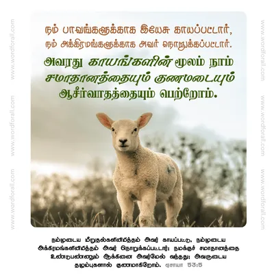 நம் பாவங்களுக்காக இயேசு காயப்பட்டார், நம் அக்கிரமங்களுக்காக அவர் நொறுக்கப்பட்டார். அவரது காயங்களின் மூலம் நாம் சமாதானத்தையும் குணமடையும் ஆசீர்வாதத்தையும் பெற்றோம்