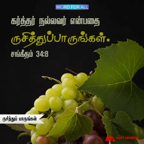 கர்த்தர் நல்லவர் என்பதை ருசித்துப் பாருங்கள்.