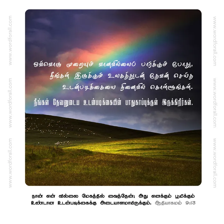நீங்கள் இருக்கும் உலகத்துடன் தேவன் செய்த உடன்படிக்கையை நினைவில் கொள்ளுங்கள்
