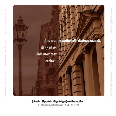 நீங்கள் ஒளியின் பிள்ளைகள், இருளின் பிள்ளைகள் அல்ல