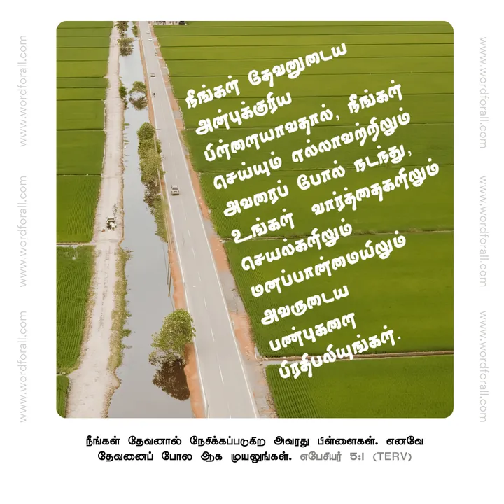நீங்கள் தேவனுடைய அன்புக்குரிய பிள்ளையாவதால், நீங்கள் செய்யும் எல்லாவற்றிலும் அவரைப் போல் நடந்து, உங்கள் வார்த்தைகளிலும் செயல்களிலும் மனப்பான்மையிலும் அவருடைய பண்புகளை பிரதிபலியுங்கள்.