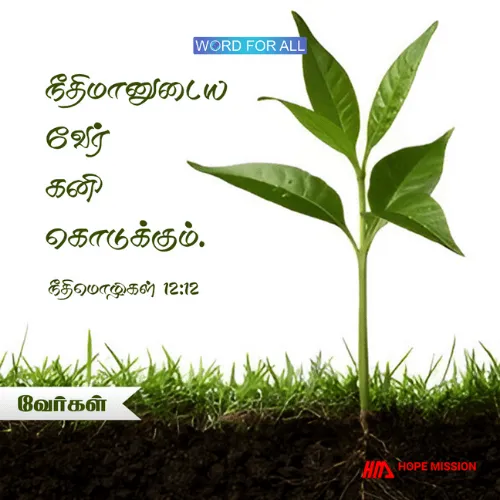 நீதிமானுடைய வேர் கனி கொடுக்கும்