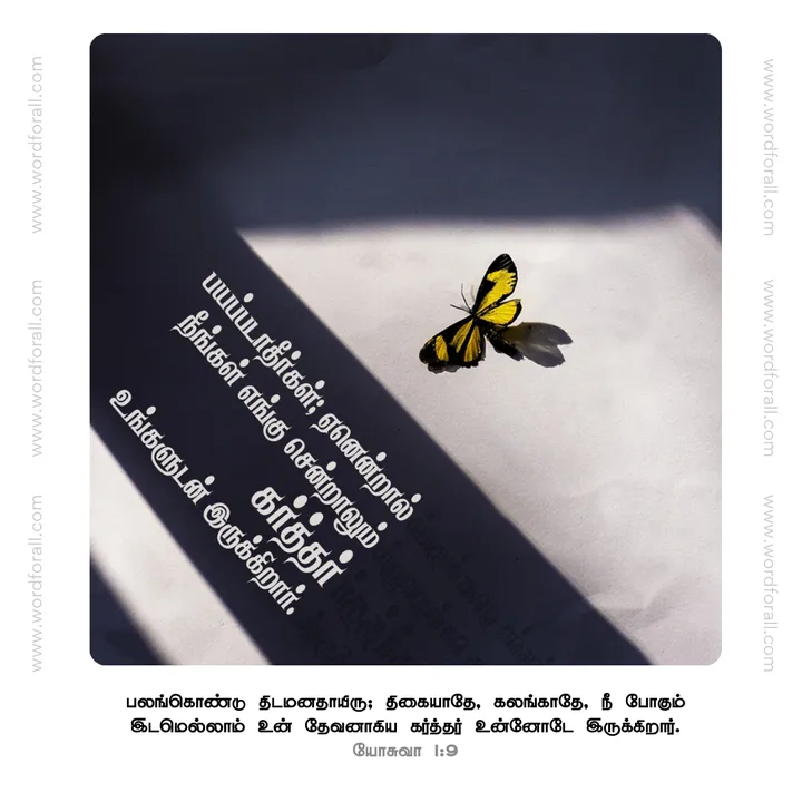 பயப்படாதீர்கள்; ஏனென்றால் நீங்கள் எங்கு சென்றாலும் கர்த்தர் உங்களுடன் இருக்கிறார்