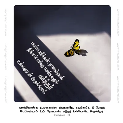 பயப்படாதீர்கள்; ஏனென்றால் நீங்கள் எங்கு சென்றாலும் கர்த்தர் உங்களுடன் இருக்கிறார்