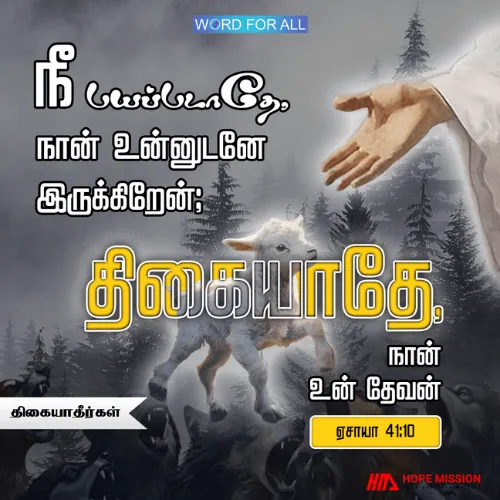 பயப்படாதீர்கள், கர்த்தர் உங்களுடனே இருக்கிறார்