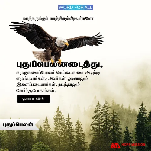 கர்த்தருக்குக் காத்திருக்கிறவர்கள் புதுப்பெலனடைவார்கள்