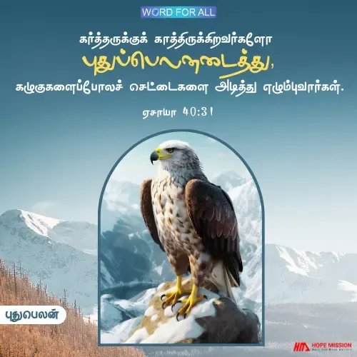 தேவன் உங்களுக்குப் புதுப்பெலனைத் தருவார்.