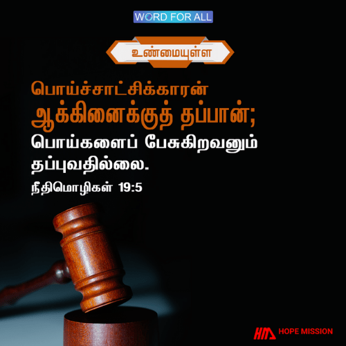 பொய்ச்சாட்சிக்காரன் ஆக்கினைக்குத் தப்பான்; பொய்களைப் பேசுகிறவனும் தப்புவதில்லை.