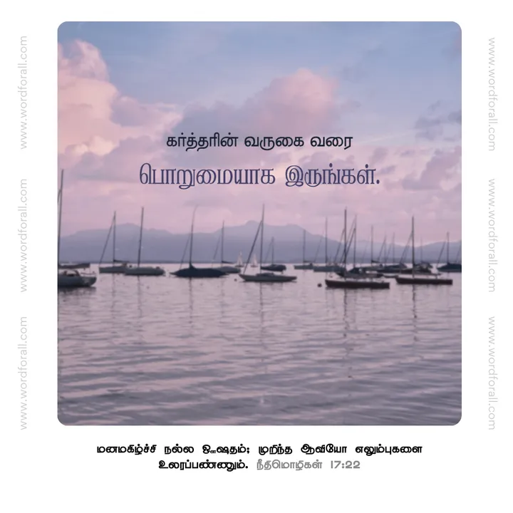 பொறுமையாக இருங்கள்