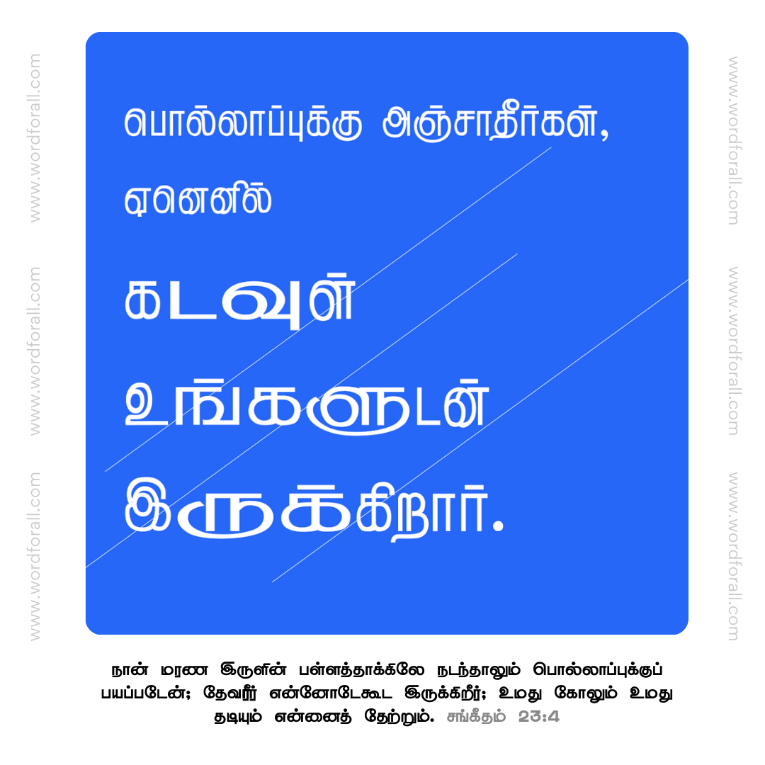 பொல்லாப்புக்கு அஞ்சாதீர்கள், ஏனெனில் கடவுள் உங்களுடன் இருக்கிறார்