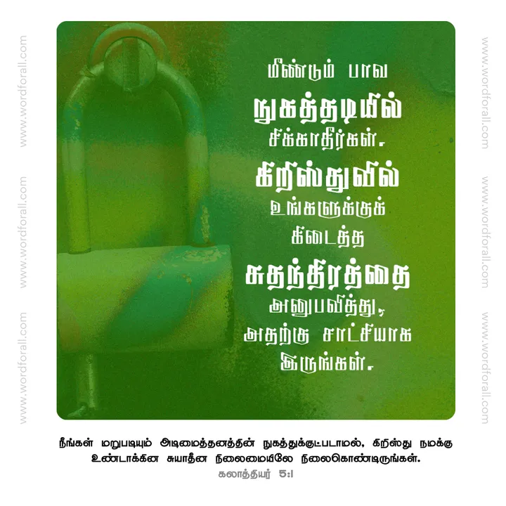 மீண்டும் பாவ நுகத்தடியில் சிக்காதீர்கள். கிறிஸ்துவில் உங்களுக்குக் கிடைத்த சுதந்திரத்தை அனுபவித்து, அதற்கு சாட்சியாக இருங்கள்.