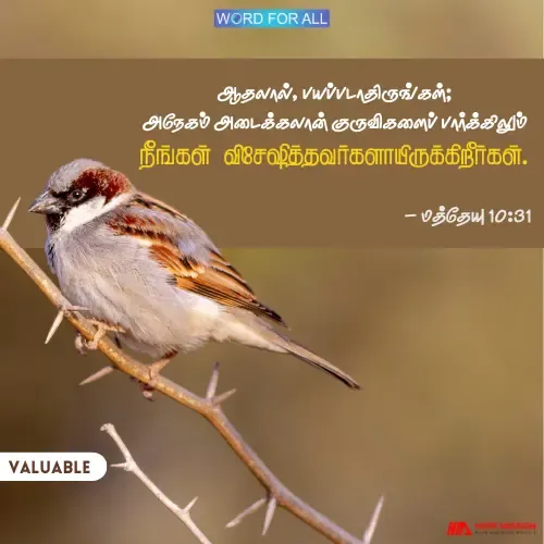 பயப்படாதிருங்கள்; அநேகம் அடைக்கலான் குருவிகளைப் பார்க்கிலும் நீங்கள் விசேஷித்தவர்களாயிருக்கிறீர்கள்.