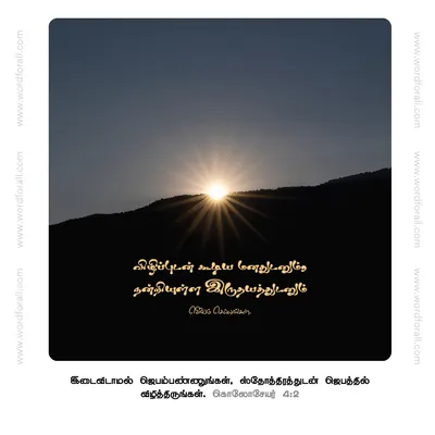 விழிப்புடன் கூடிய மனதுடனும், நன்றியுள்ள இருதயத்துடனும் ஜெபம் செய்யுங்கள்.