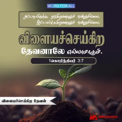 வெற்றியின் ரகசியம்