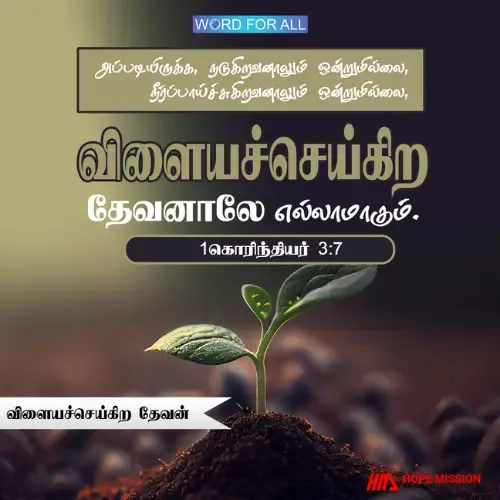 வெற்றியின் ரகசியம்