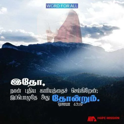 இதோ, நான் புதிய காரியத்தைச் செய்கிறேன்; இப்பொழுதே அது தோன்றும்.