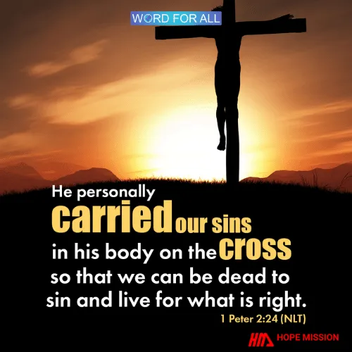HE PERSONALLY CARRIED OUR SINS IN HIS BODY ON THE CROSS.