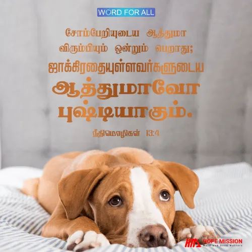 சோம்பேறியுடைய ஆத்துமா விரும்பியும் ஒன்றும் பெறாது; ஜாக்கிரதையுள்ளவர்களுடைய ஆத்துமாவோ புஷ்டியாகும்.