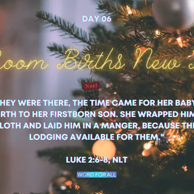 ? CHRISTMAS ? Devotional - Day 06