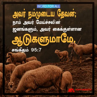 அவர் நம்முடைய தேவன்; நாம் அவர் மேய்ச்சலின் ஜனங்களும், அவர் கைக்குள்ளான ஆடுகளுமாமே.