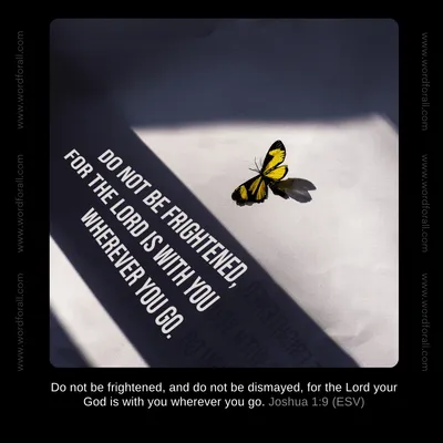 Do Not Be Frightened, for the Lord Is with You Wherever You Go