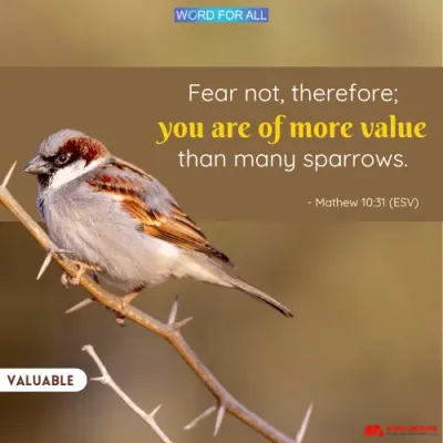 DO NOT FEAR; YOU ARE MORE VALUABLE THAN MANY SPARROWS.