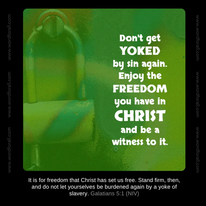 Don't get yoked by sin again. Enjoy the freedom you have in Christ and be a witness to it.