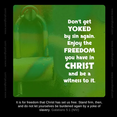 Don't get yoked by sin again. Enjoy the freedom you have in Christ and be a witness to it.