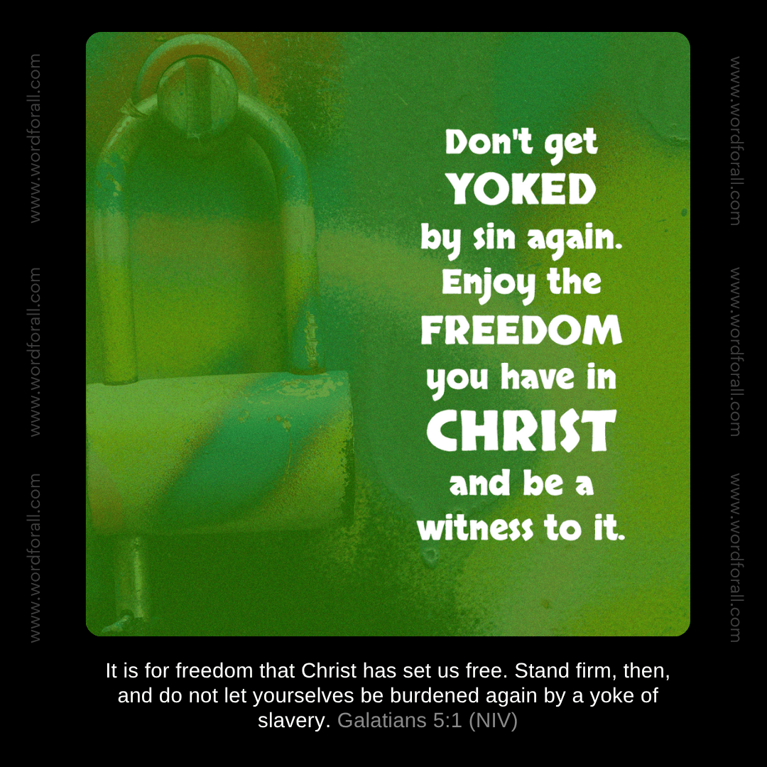 Don't get yoked by sin again. Enjoy the freedom you have in Christ and be a witness to it.