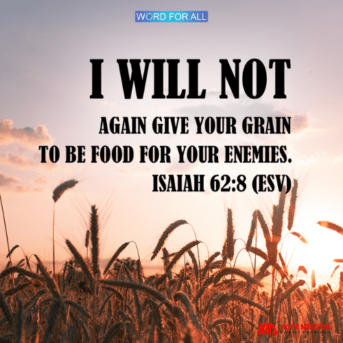 GOD WILL NOT AGAIN GIVE YOUR GRAIN TO BE FOOD FOR YOUR ENEMIES.