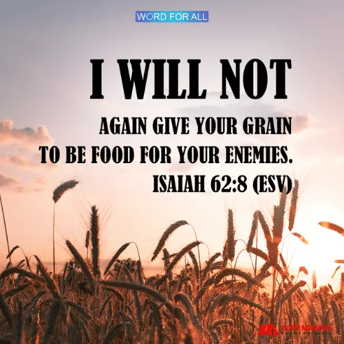 GOD WILL NOT AGAIN GIVE YOUR GRAIN TO BE FOOD FOR YOUR ENEMIES.