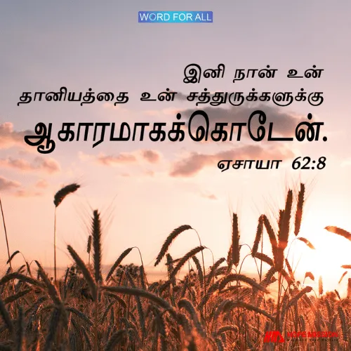 இனி உங்கள் தானியத்தை உங்கள் சத்துருக்களுக்கு உணவாகக் கொடுக்க மாட்டார்.