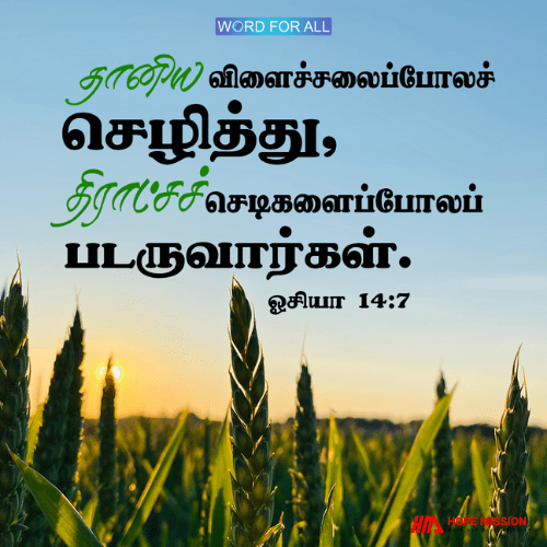 நீங்கள் தானியத்தைப் போல செழித்து, திராட்சைச் செடியைப் போல படருவீர்கள்.