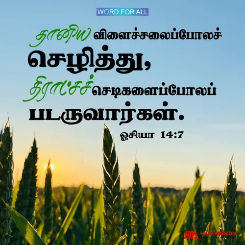 நீங்கள் தானியத்தைப் போல செழித்து, திராட்சைச் செடியைப் போல படருவீர்கள்.