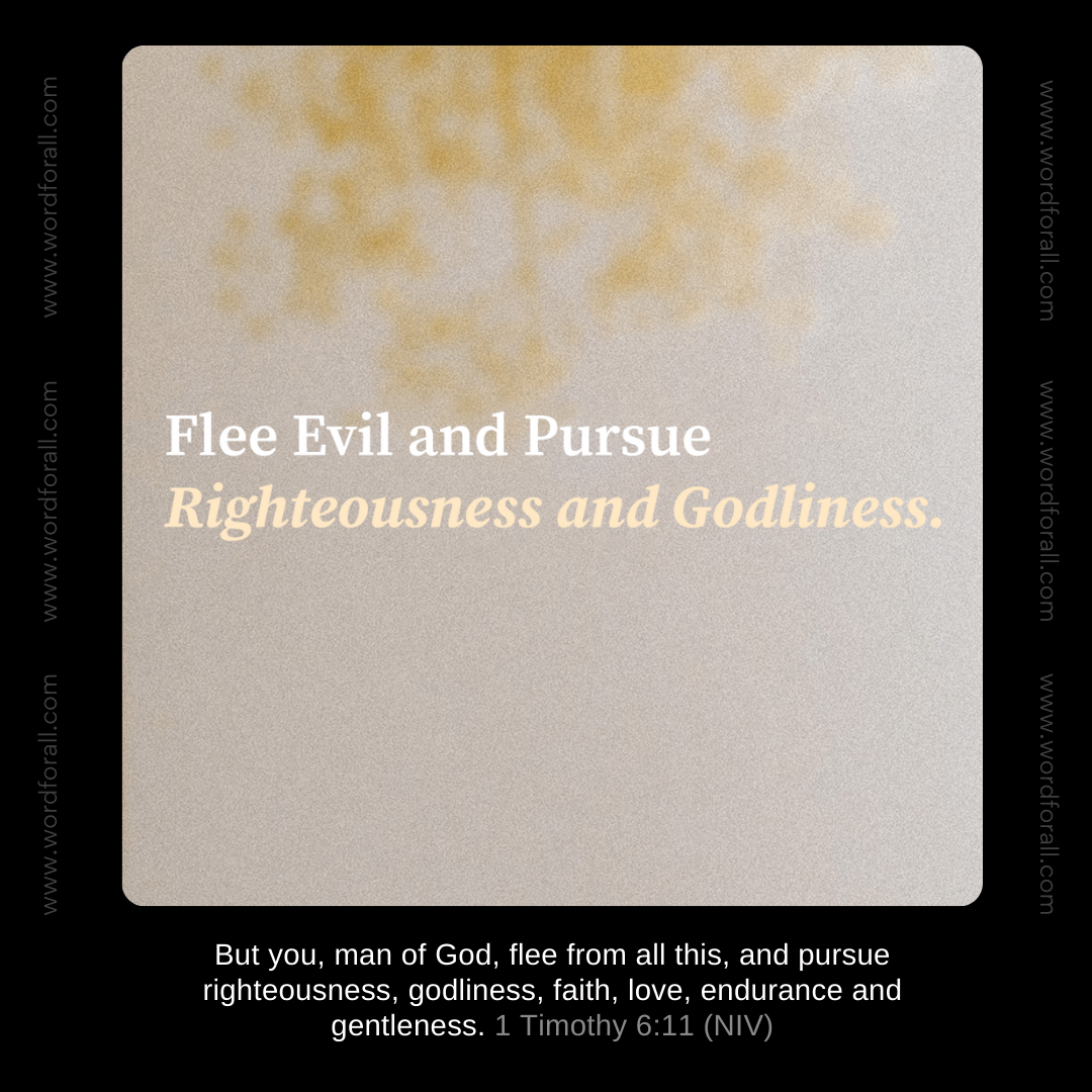 Flee Evil and Pursue Righteousness and Godliness