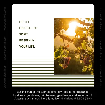 Let the Fruit of the Spirit Be Seen in Your Life