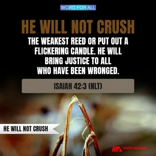 GOD WILL NOT CRUSH THE WEAKEST REED OR PUT OUT A FLICKERING CANDLE.