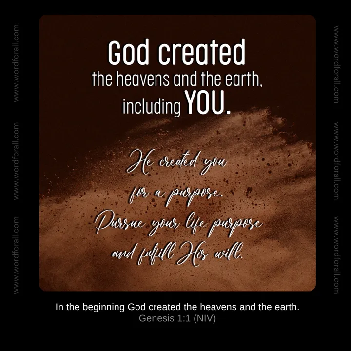 God created the heavens and the earth, including you. He created you for a purpose. Pursue your life purpose and fulfill His will
